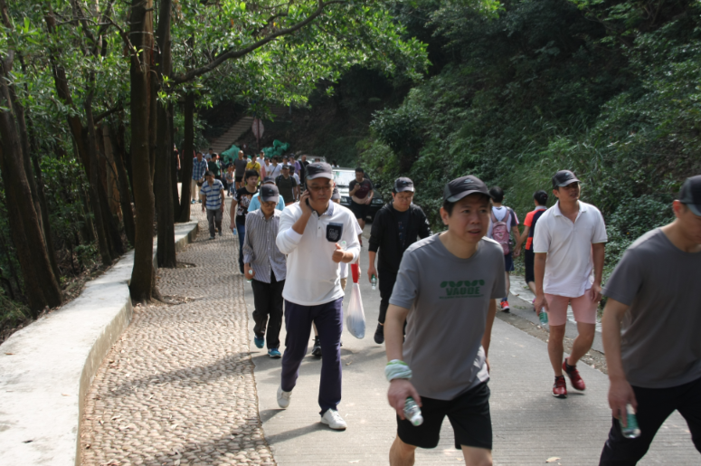 “凝聚力 勇攀登” 集團公司組織秋季登南山活動